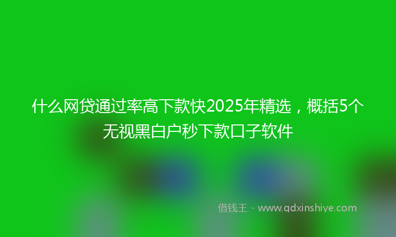 什么网贷通过率高下款快2025年精选，概括5个无视黑白户秒下款口子软件