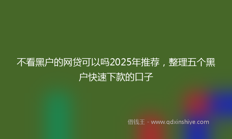 不看黑户的网贷可以吗2025年推荐，整理五个黑户快速下款的口子