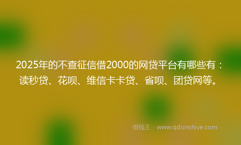 2025年的不查征信借2000的网贷平台有哪些有：读秒贷、花呗、维信卡卡贷、省呗、团贷网等。