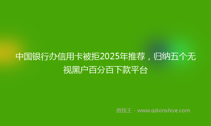 中国银行办信用卡被拒2025年推荐，归纳五个无视黑户百分百下款平台