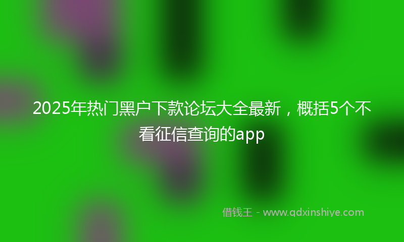 2025年热门黑户下款论坛大全最新，概括5个不看征信查询的app