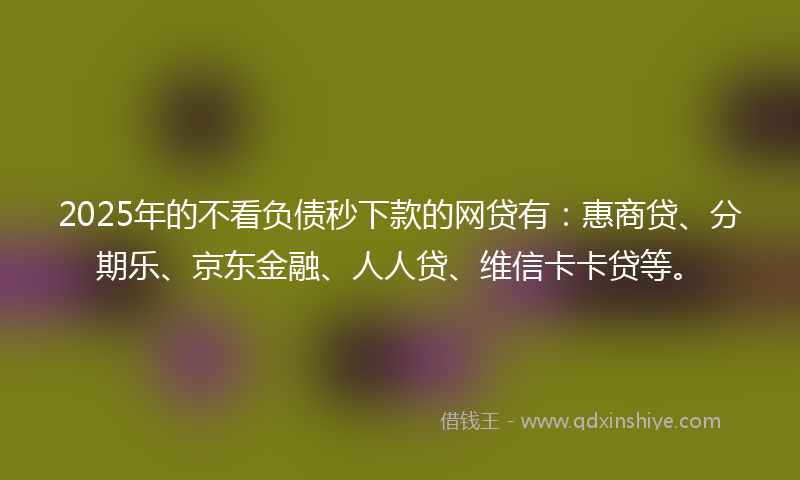 2025年的不看负债秒下款的网贷有：惠商贷、分期乐、京东金融、人人贷、维信卡卡贷等。