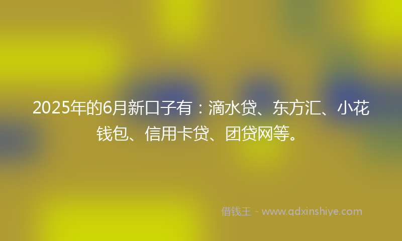 2025年的6月新口子有：滴水贷、东方汇、小花钱包、信用卡贷、团贷网等。