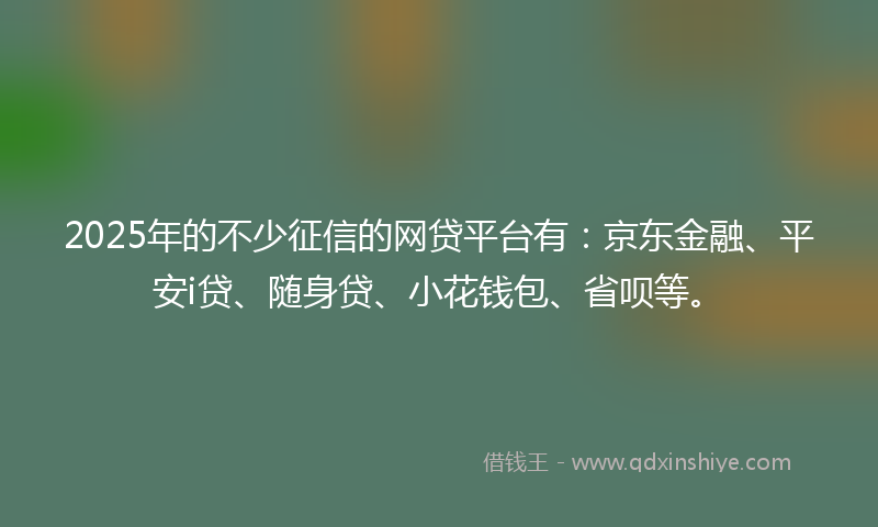 2025年的不少征信的网贷平台有：京东金融、平安i贷、随身贷、小花钱包、省呗等。