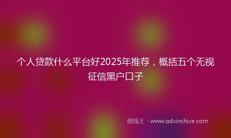 个人贷款什么平台好2025年推荐，概括五个无视征信黑户口子