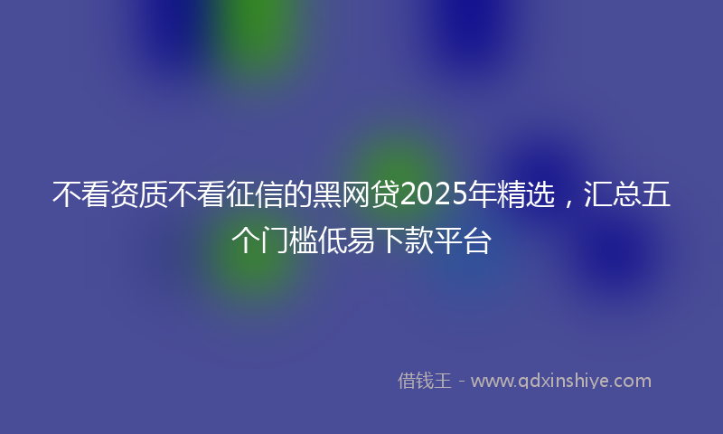 不看资质不看征信的黑网贷2025年精选，汇总五个门槛低易下款平台