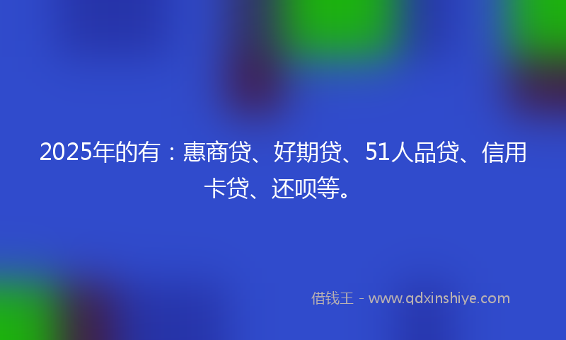 2025年的有：惠商贷、好期贷、51人品贷、信用卡贷、还呗等。