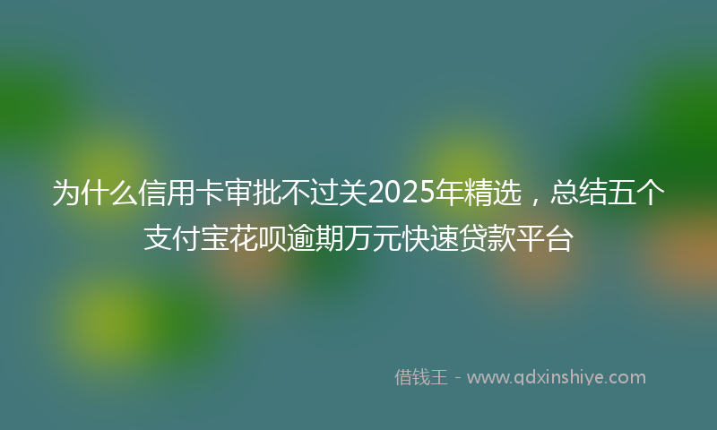 为什么信用卡审批不过关2025年精选，总结五个支付宝花呗逾期万元快速贷款平台
