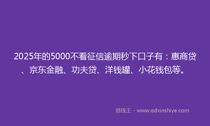 2025年的5000不看征信逾期秒下口子有：惠商贷、京东金融、功夫贷、洋钱罐、小花钱包等。