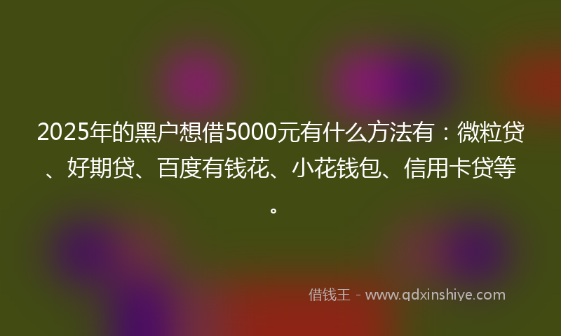 2025年的黑户想借5000元有什么方法有：微粒贷、好期贷、百度有钱花、小花钱包、信用卡贷等。