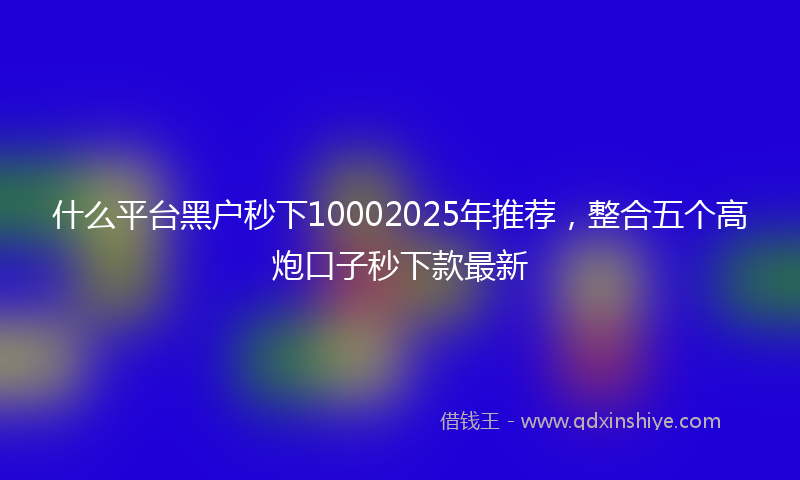 什么平台黑户秒下10002025年推荐，整合五个高炮口子秒下款最新