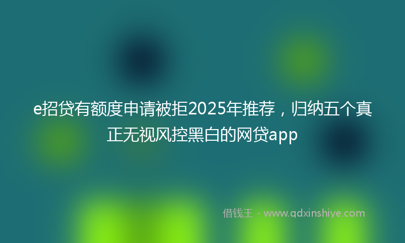 e招贷有额度申请被拒2025年推荐，归纳五个真正无视风控黑白的网贷app