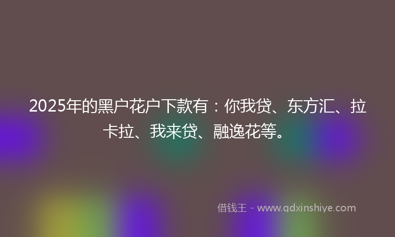 2025年的黑户花户下款有：你我贷、东方汇、拉卡拉、我来贷、融逸花等。