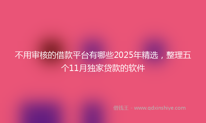 不用审核的借款平台有哪些2025年精选，整理五个11月独家贷款的软件
