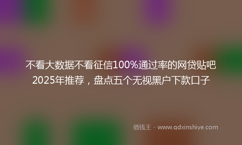 不看大数据不看征信100%通过率的网贷贴吧2025年推荐，盘点五个无视黑户下款口子