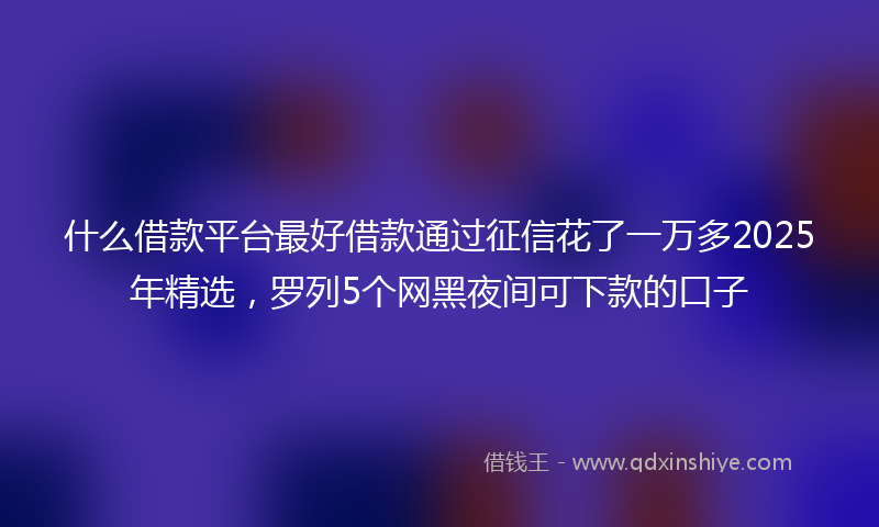 什么借款平台最好借款通过征信花了一万多2025年精选，罗列5个网黑夜间可下款的口子