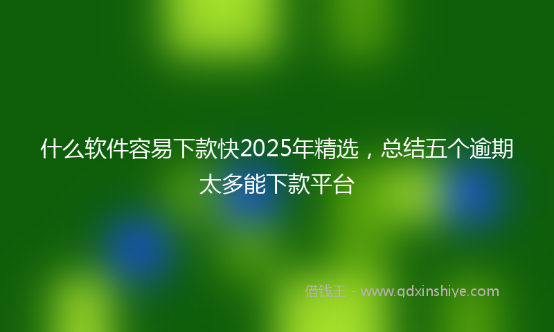 什么软件容易下款快2025年精选，总结五个逾期太多能下款平台