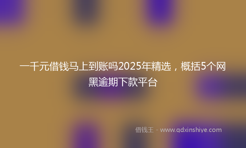 一千元借钱马上到账吗2025年精选，概括5个网黑逾期下款平台