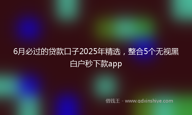 6月必过的贷款口子2025年精选，整合5个无视黑白户秒下款app