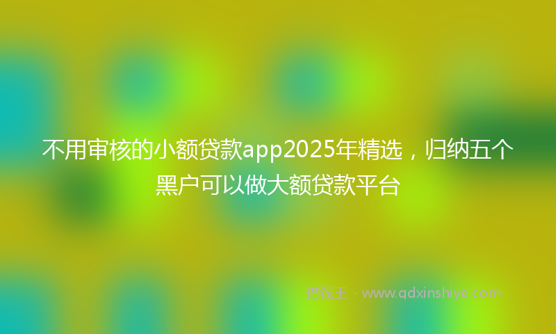 不用审核的小额贷款app2025年精选，归纳五个黑户可以做大额贷款平台