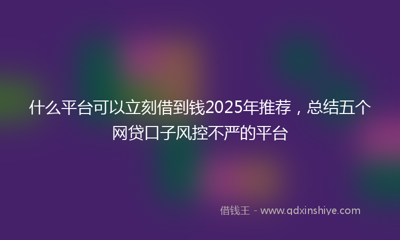 什么平台可以立刻借到钱2025年推荐，总结五个网贷口子风控不严的平台