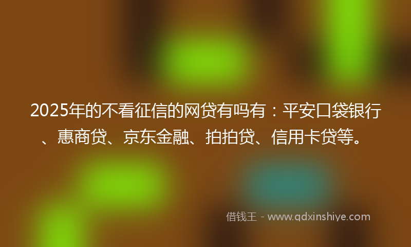 2025年的不看征信的网贷有吗有：平安口袋银行、惠商贷、京东金融、拍拍贷、信用卡贷等。
