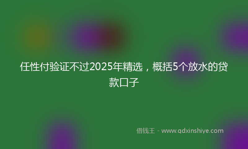 任性付验证不过2025年精选，概括5个放水的贷款口子