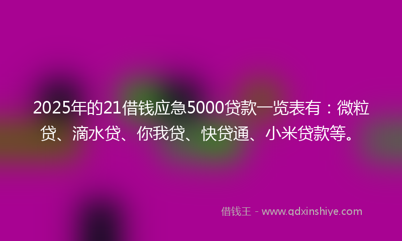2025年的21借钱应急5000贷款一览表有：微粒贷、滴水贷、你我贷、快贷通、小米贷款等。