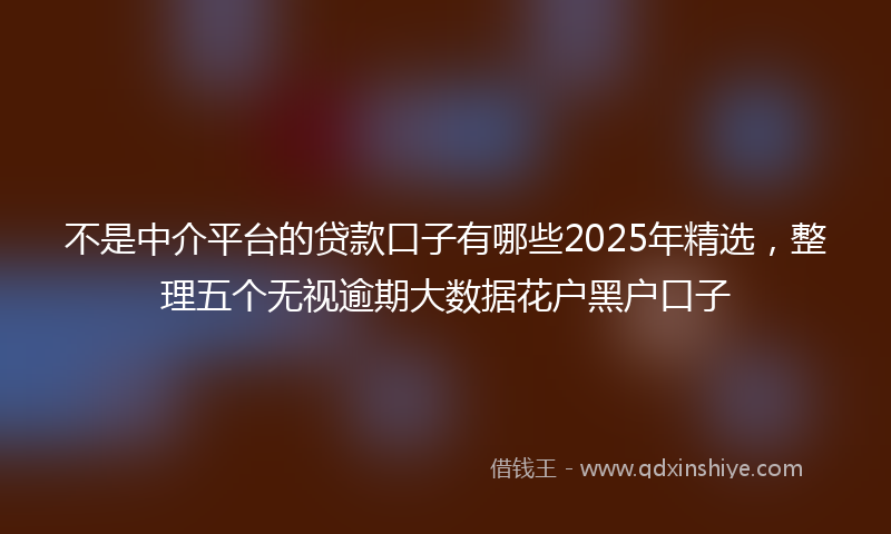 不是中介平台的贷款口子有哪些2025年精选，整理五个无视逾期大数据花户黑户口子