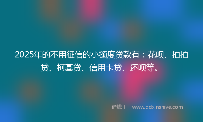 2025年的不用征信的小额度贷款有：花呗、拍拍贷、柯基贷、信用卡贷、还呗等。