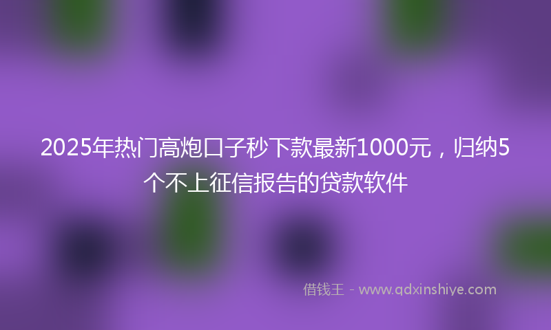 2025年热门高炮口子秒下款最新1000元，归纳5个不上征信报告的贷款软件