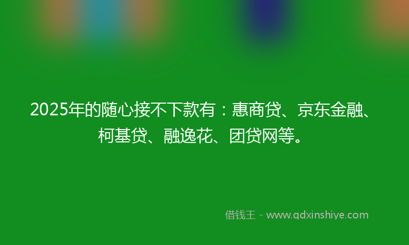2025年的随心接不下款有：惠商贷、京东金融、柯基贷、融逸花、团贷网等。