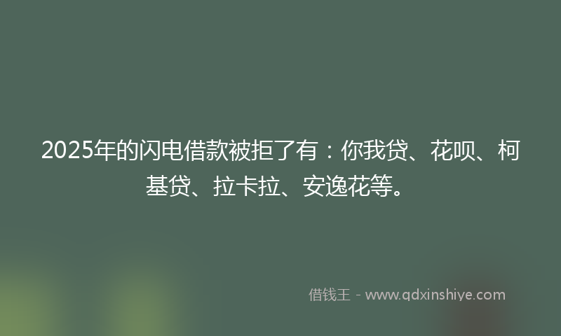 2025年的闪电借款被拒了有：你我贷、花呗、柯基贷、拉卡拉、安逸花等。