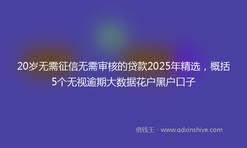 20岁无需征信无需审核的贷款2025年精选，概括5个无视逾期大数据花户黑户口子