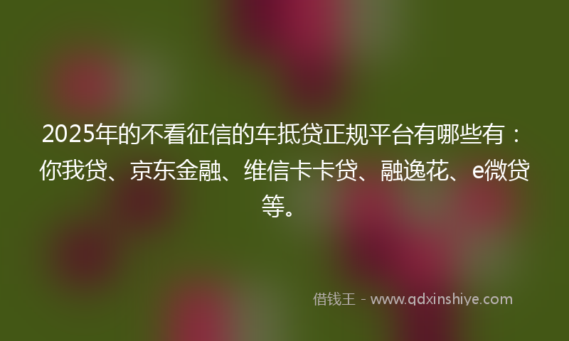 2025年的不看征信的车抵贷正规平台有哪些有：你我贷、京东金融、维信卡卡贷、融逸花、e微贷等。