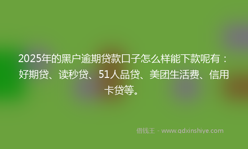 2025年的黑户逾期贷款口子怎么样能下款呢有：好期贷、读秒贷、51人品贷、美团生活费、信用卡贷等。