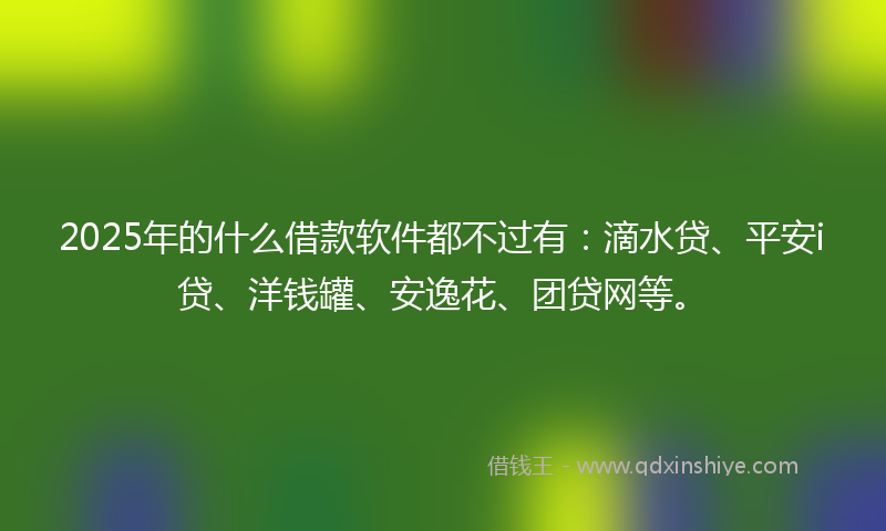 2025年的什么借款软件都不过有：滴水贷、平安i贷、洋钱罐、安逸花、团贷网等。