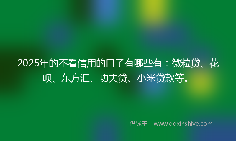 2025年的不看信用的口子有哪些有：微粒贷、花呗、东方汇、功夫贷、小米贷款等。
