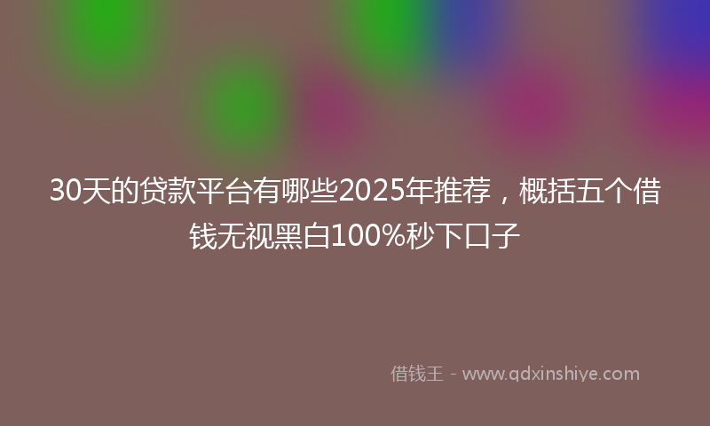 30天的贷款平台有哪些2025年推荐，概括五个借钱无视黑白100%秒下口子