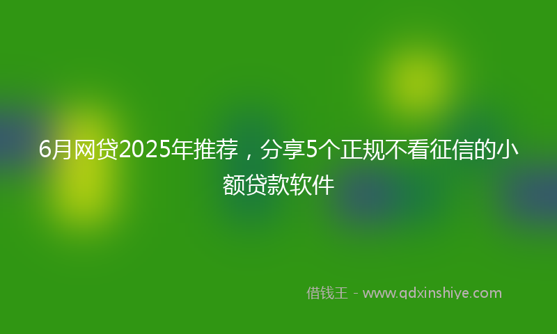 6月网贷2025年推荐，分享5个正规不看征信的小额贷款软件