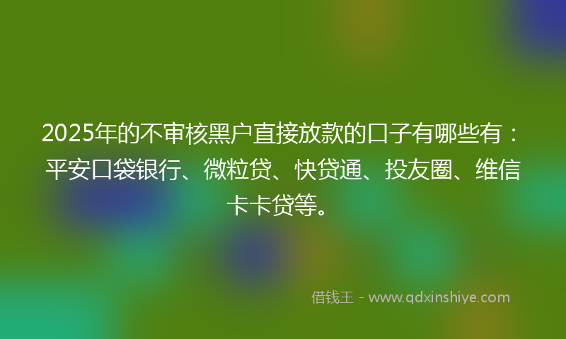 2025年的不审核黑户直接放款的口子有哪些有：平安口袋银行、微粒贷、快贷通、投友圈、维信卡卡贷等。