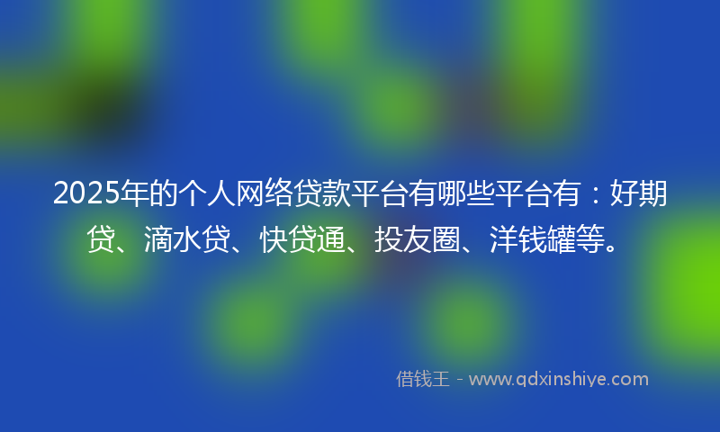 2025年的个人网络贷款平台有哪些平台有：好期贷、滴水贷、快贷通、投友圈、洋钱罐等。