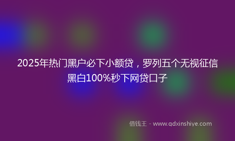 2025年热门黑户必下小额贷，罗列五个无视征信黑白100%秒下网贷口子
