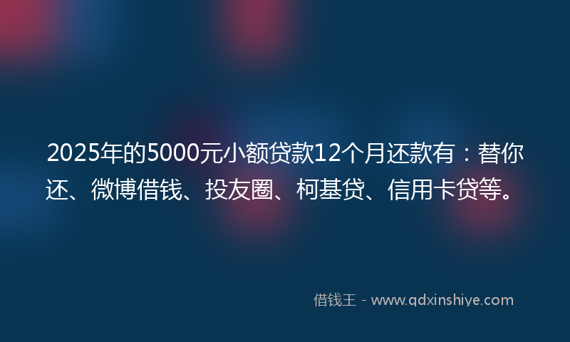 2025年的5000元小额贷款12个月还款有：替你还、微博借钱、投友圈、柯基贷、信用卡贷等。