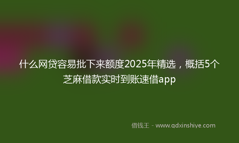 什么网贷容易批下来额度2025年精选，概括5个芝麻借款实时到账速借app