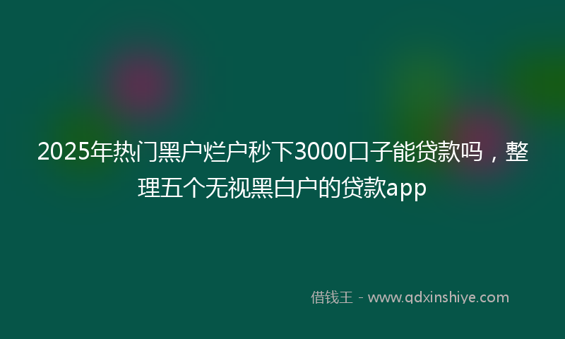 2025年热门黑户烂户秒下3000口子能贷款吗，整理五个无视黑白户的贷款app