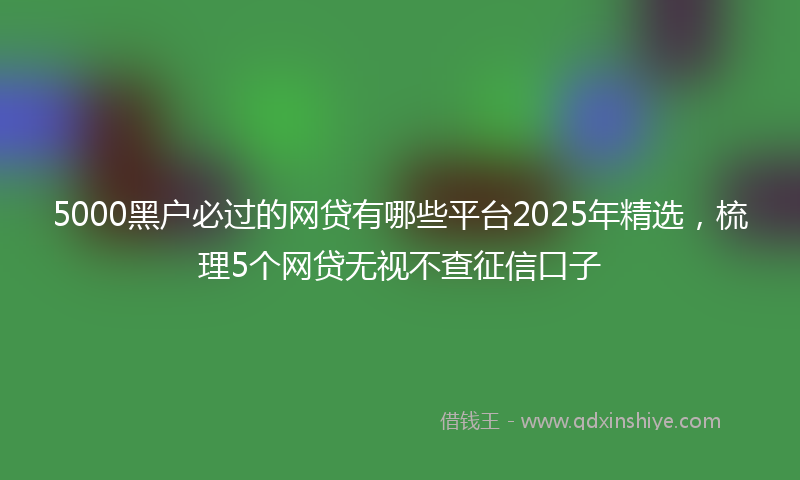 5000黑户必过的网贷有哪些平台2025年精选，梳理5个网贷无视不查征信口子