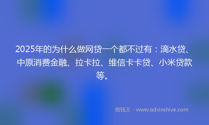 2025年的为什么做网贷一个都不过有：滴水贷、中原消费金融、拉卡拉、维信卡卡贷、小米贷款等。