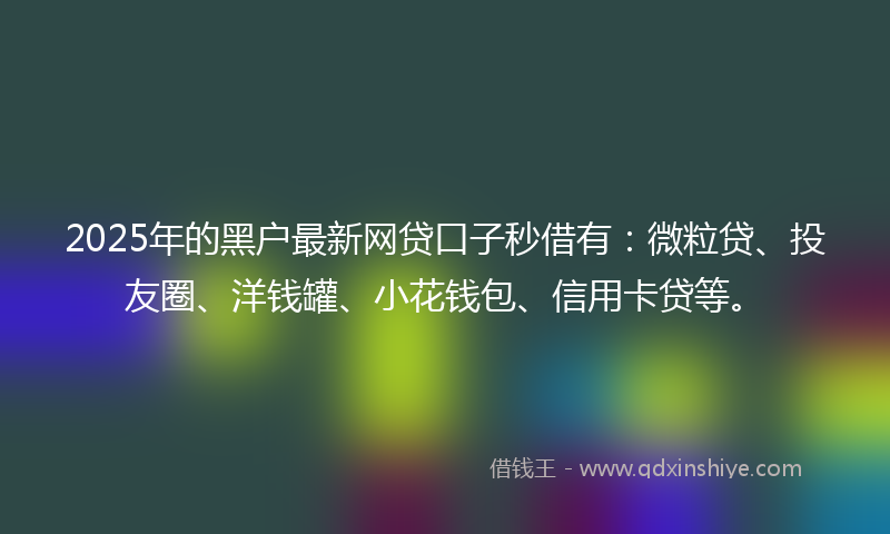 2025年的黑户最新网贷口子秒借有：微粒贷、投友圈、洋钱罐、小花钱包、信用卡贷等。