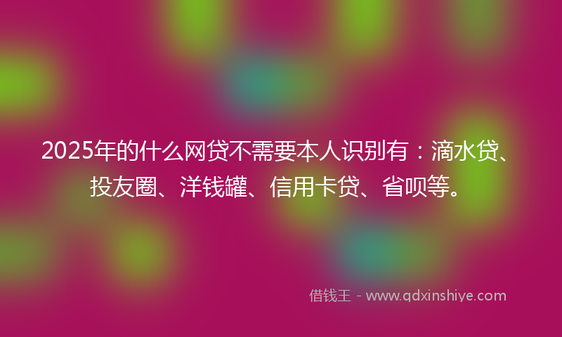 2025年的什么网贷不需要本人识别有：滴水贷、投友圈、洋钱罐、信用卡贷、省呗等。